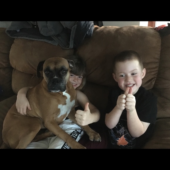 Dogs - Picture 8 of 8